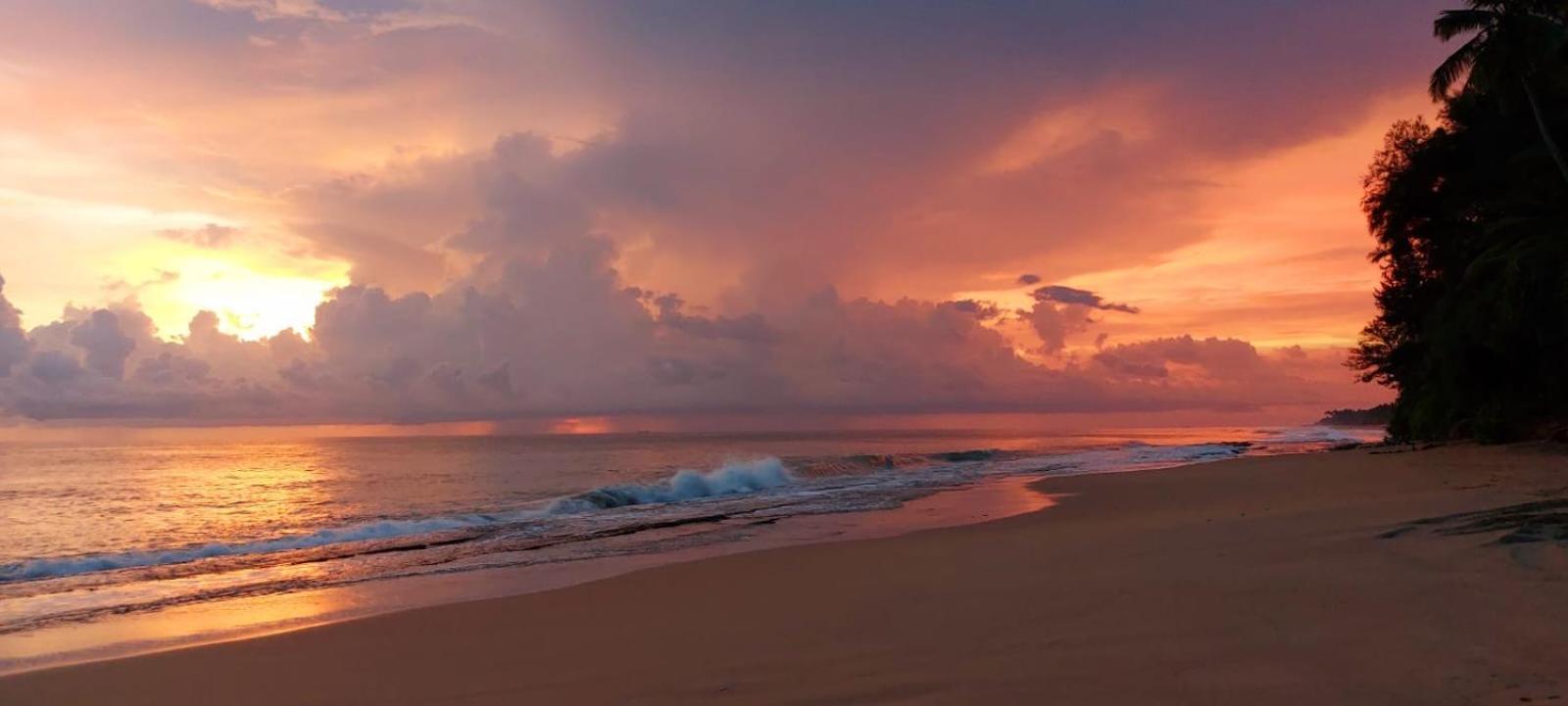 Turtle Paradise Villa Косгода Екстер'єр фото