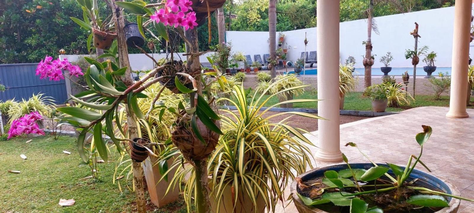 Turtle Paradise Villa Косгода Екстер'єр фото